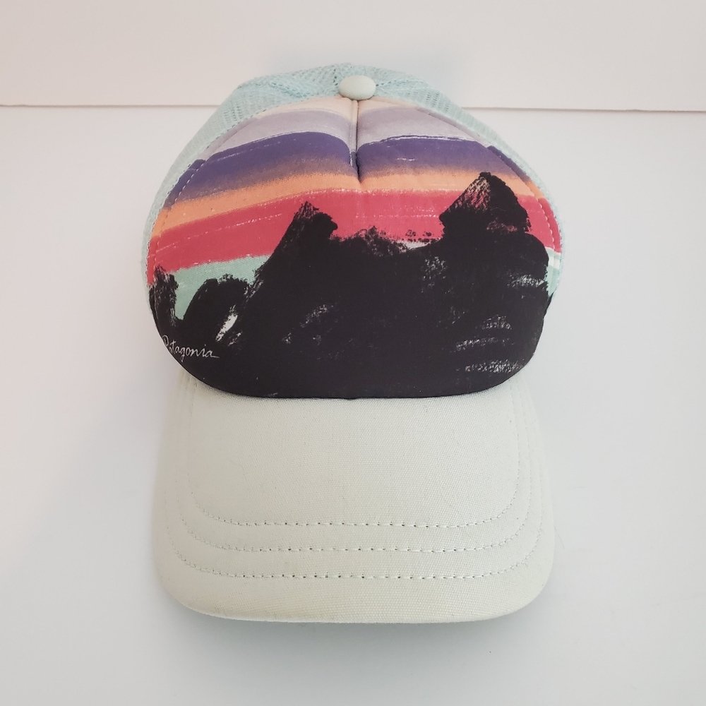 Patagonia snapback hat